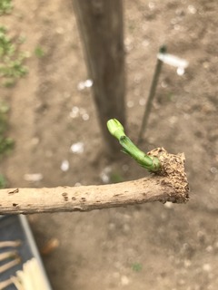 20180605_041810068_iOS