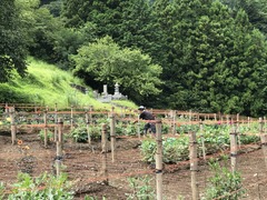 20180824_015402739_iOS