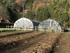 20181127_235557146_iOS