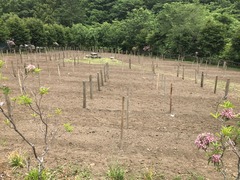 20180528_022320040_iOS