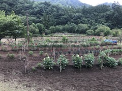 20180824_020553357_iOS