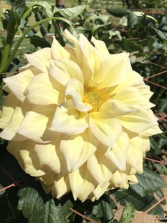 20180827_024044674_iOS