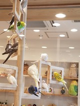 d71190d9.jpg