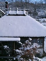 やな初雪