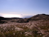 163b5d63.jpg