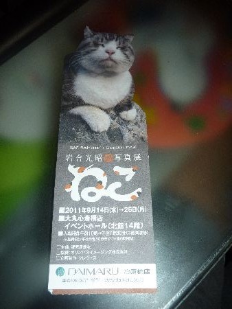 kan_nene001
