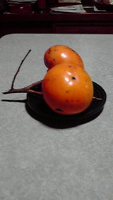 1a46b30d.jpg