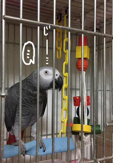S__11739148