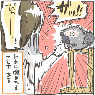 fuku27