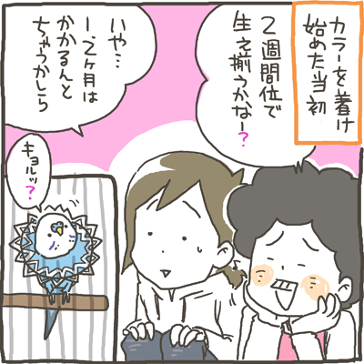 chibi37