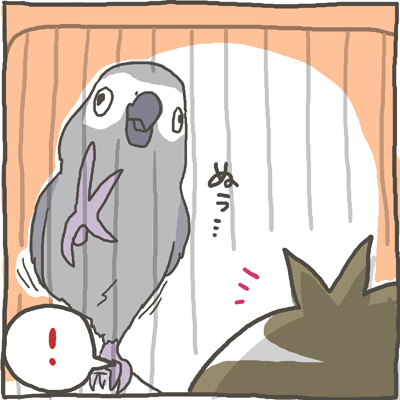 fuku61