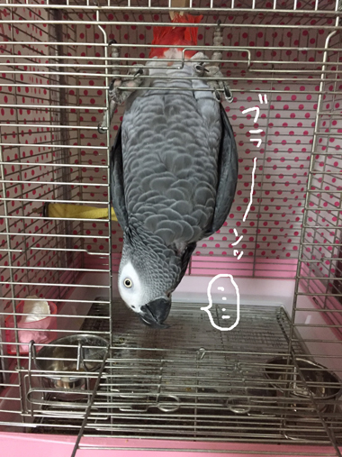 S__26804239