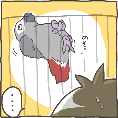 fuku62