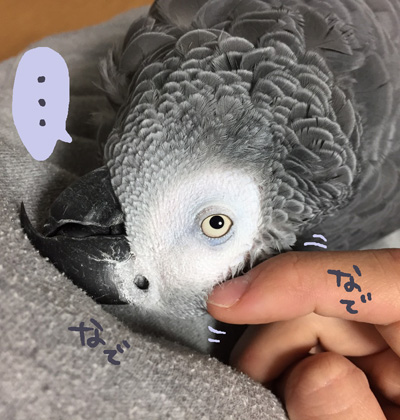 S__12746780
