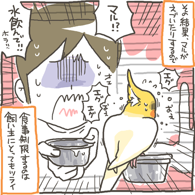 maru70