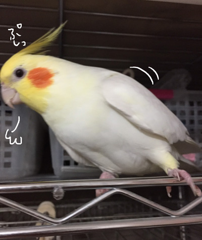 S__16277516