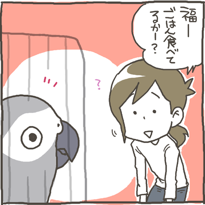 fuku60