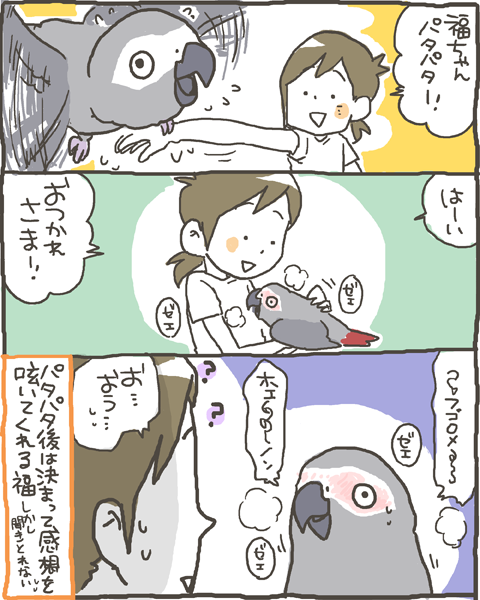 fuku36