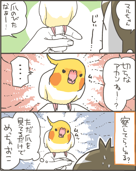 オカメインコの危険予測能力 マルといっしょ Powered By ライブドアブログ