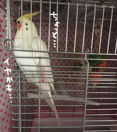 S__25673759