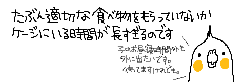 マルといっしょ-14