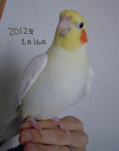 DSCN3648