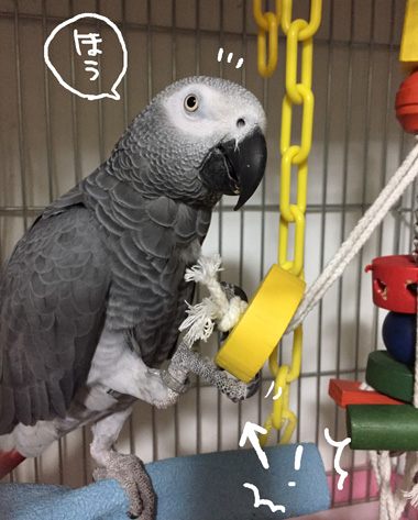 S__11739146