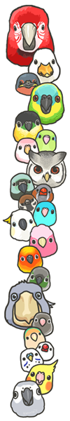 bird20