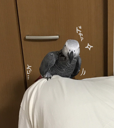 S__12230658