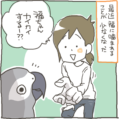 fuku26