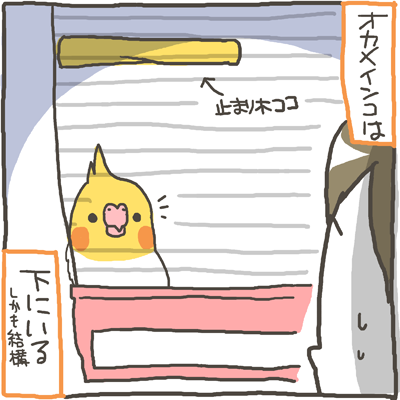 tori17