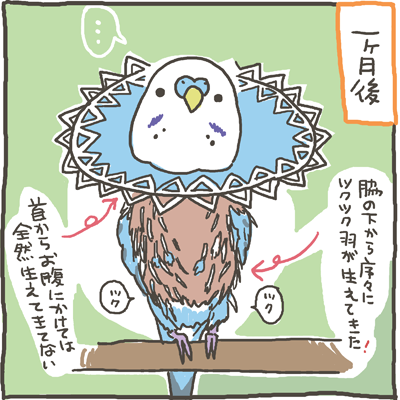 chibi38