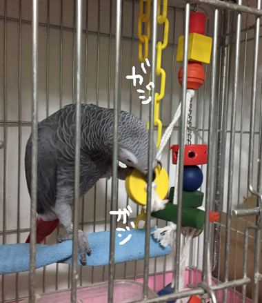S__11739147