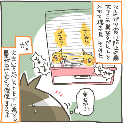 maru67