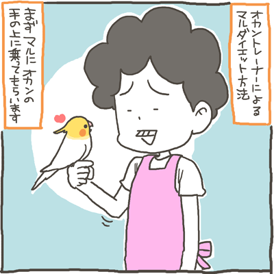 maru71
