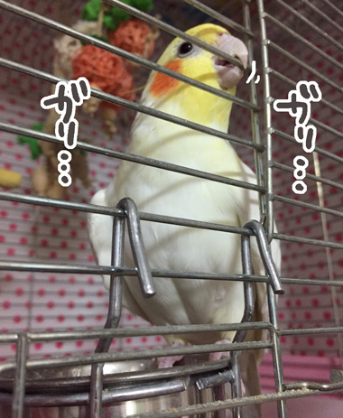 S__24526867