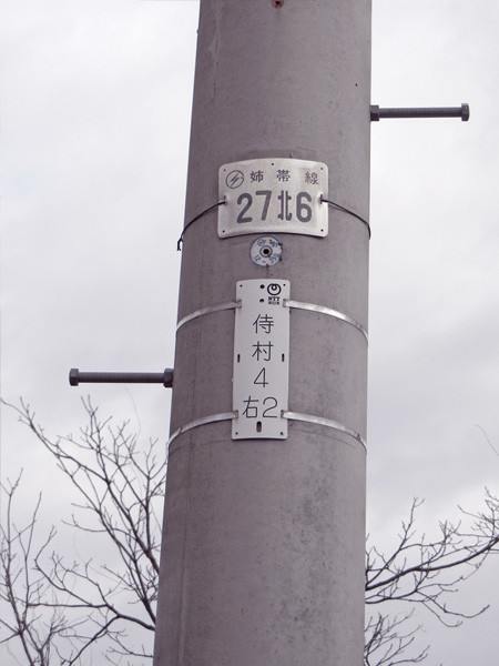 DSCN1985