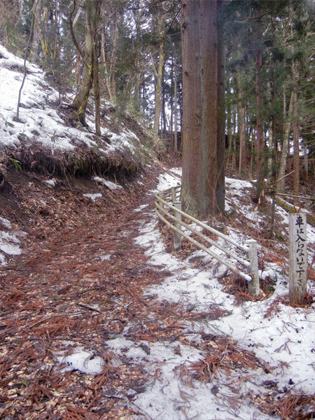 DSCN2026a