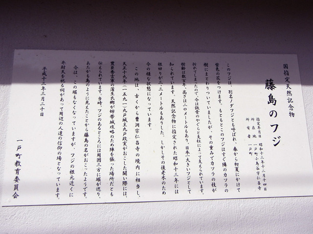 DSCN1935