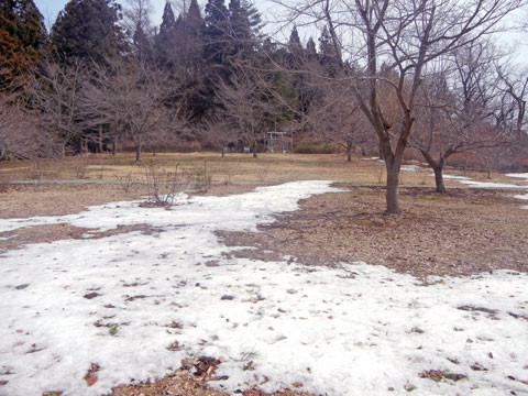 DSCN2055
