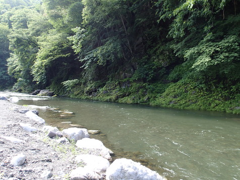 P7110001