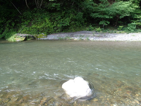 P7110004