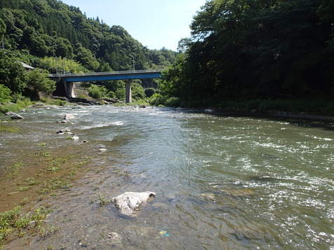 P7110014