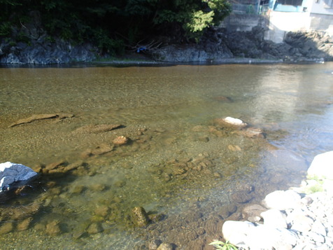 P6130005