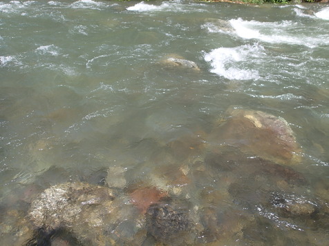 P7110009