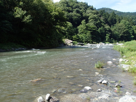 P7110015