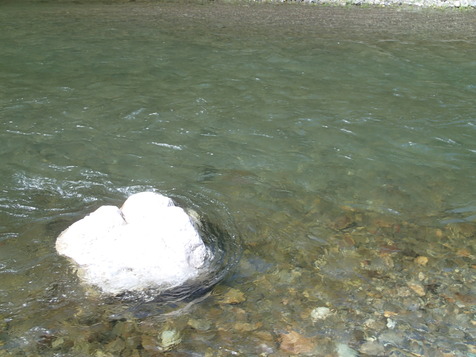 P7110005