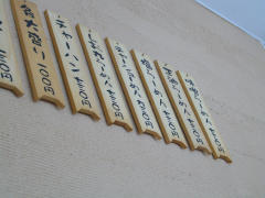 e13b3706.jpg
