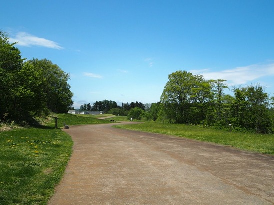 2017-05-15-11-59-39