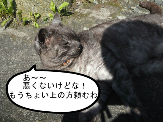 BlogPaint